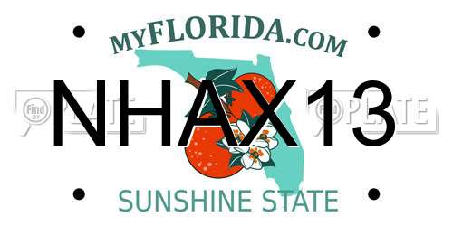 NHAX13 Florida License Plate