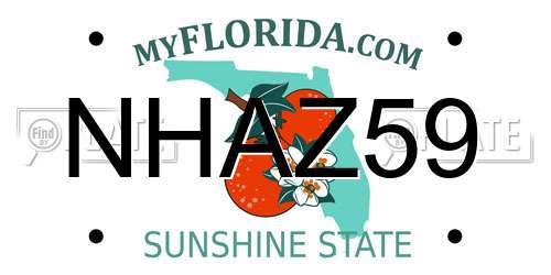 NHAZ59 Florida License Plate