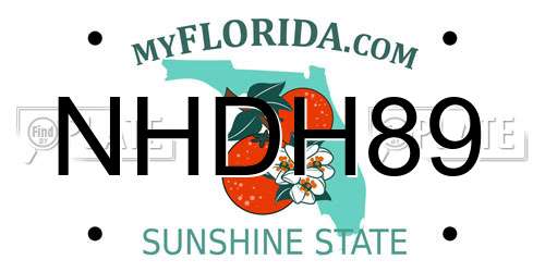 NHDH89 Florida License Plate