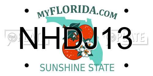 NHDJ13 Florida License Plate