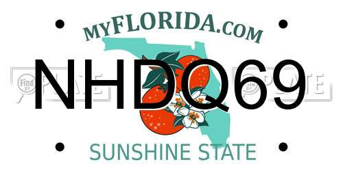 NHDQ69 Florida License Plate