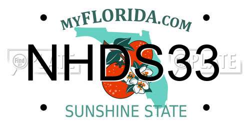 NHDS33 Florida License Plate