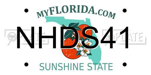NHDS41 Florida License Plate