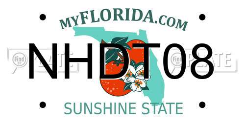 NHDT08 Florida License Plate
