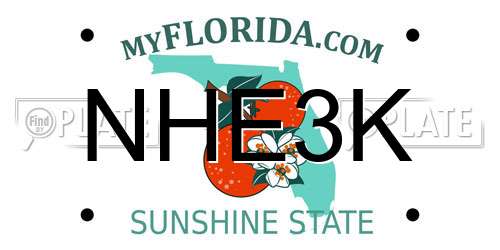 NHE3K Florida License Plate