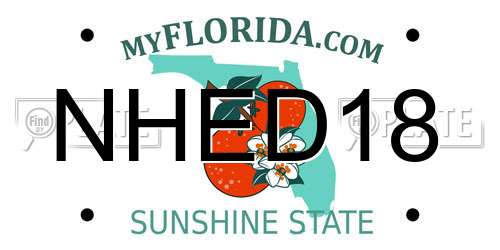 NHED18 Florida License Plate