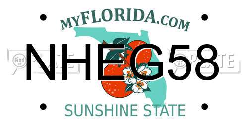 NHEG58 Florida License Plate