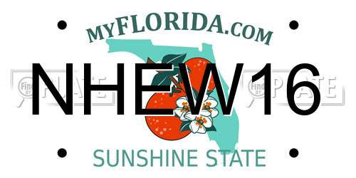 NHEW16 Florida License Plate