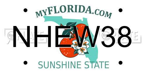 NHEW38 Florida License Plate