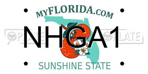 NHGA1 Florida License Plate