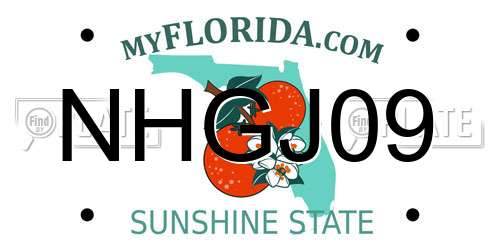 NHGJ09 Florida License Plate