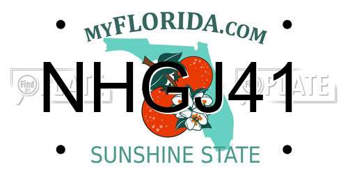 NHGJ41 Florida License Plate