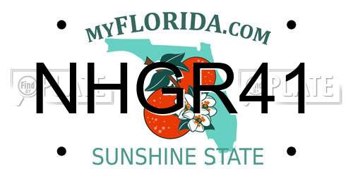 NHGR41 Florida License Plate