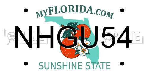 NHGU54 Florida License Plate