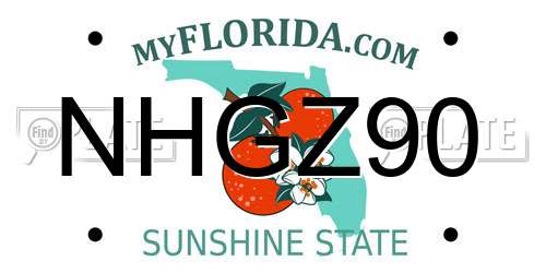 NHGZ90 Florida License Plate