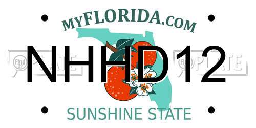 NHHD12 Florida License Plate