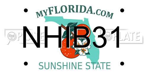 NHIB31 Florida License Plate