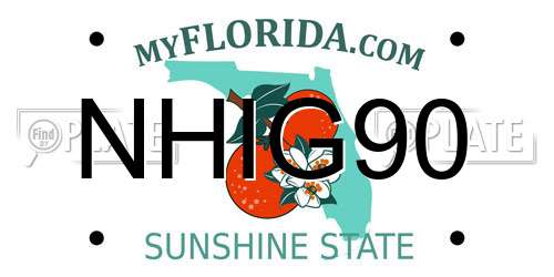 NHIG90 Florida License Plate