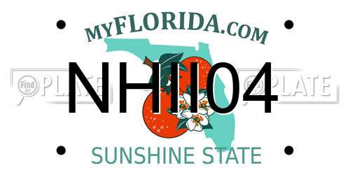 NHII04 Florida License Plate