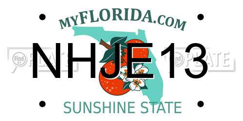 NHJE13 Florida License Plate