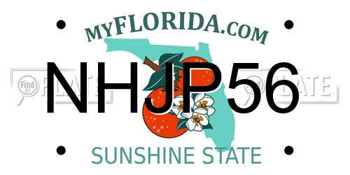 NHJP56 Florida License Plate