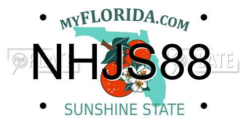 NHJS88 Florida License Plate