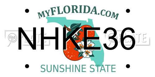 NHKE36 Florida License Plate