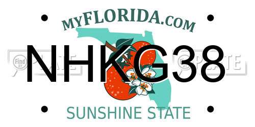 NHKG38 Florida License Plate