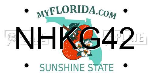 NHKG42 Florida License Plate