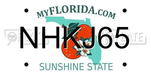 NHKJ65 Florida License Plate