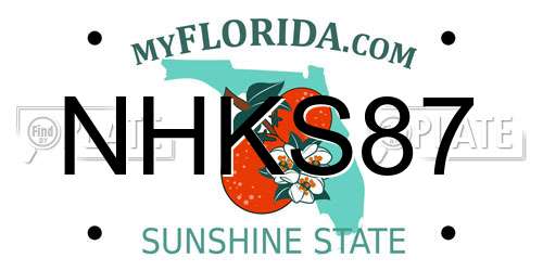 NHKS87 Florida License Plate