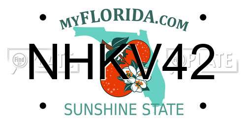 NHKV42 Florida License Plate