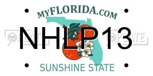 NHLP13 Florida License Plate