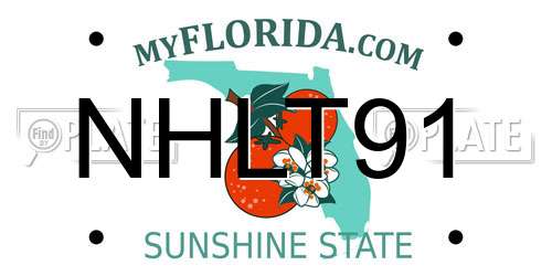 NHLT91 Florida License Plate