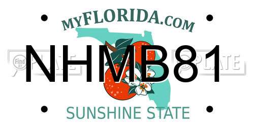 NHMB81 Florida License Plate