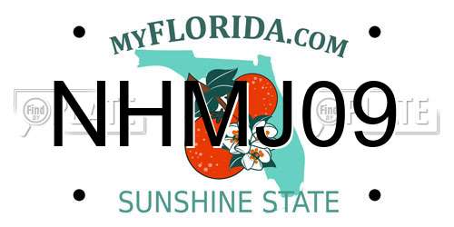 NHMJ09 Florida License Plate