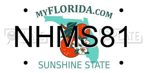 NHMS81 Florida License Plate