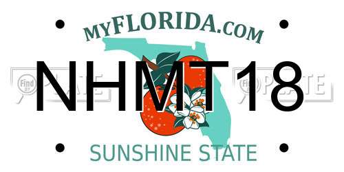 NHMT18 Florida License Plate