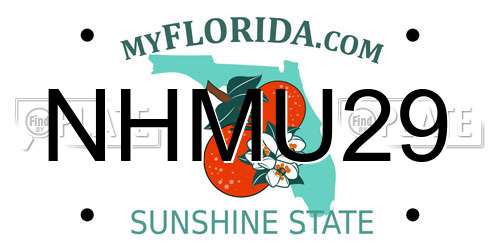NHMU29 Florida License Plate