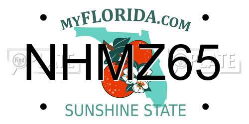 NHMZ65 Florida License Plate