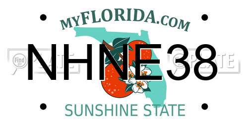 NHNE38 Florida License Plate