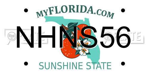 NHNS56 Florida License Plate
