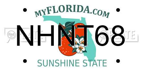 NHNT68 Florida License Plate