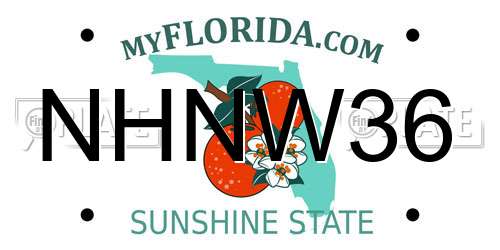 NHNW36 Florida License Plate