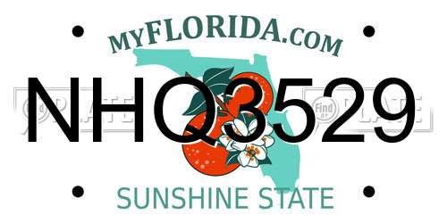 NHQ3529 Florida License Plate