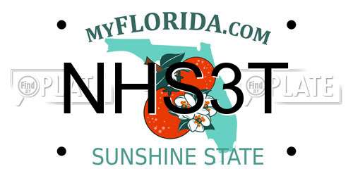 NHS3T Florida License Plate