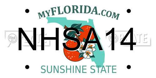 NHSA14 Florida License Plate