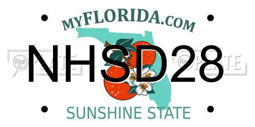 NHSD28 Florida License Plate