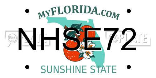 NHSE72 Florida License Plate