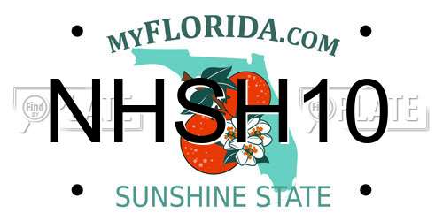 NHSH10 Florida License Plate